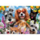 Educa Puzzle 200 Piezas Selfie Pet Parade - 19293