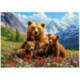 Educa Puzzle 1000 Piezas Osos Grizzly en Canadá - 20553