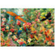 Educa Puzzle 2000 Piezas Aves del Amazonas - 20574