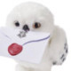 Harry Potter Wizarding World Peluche Hedwig Interactivo