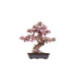 Sakura Bonsai Rompecabezas 3D