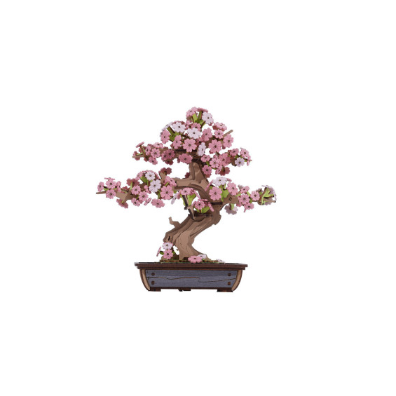 Sakura Bonsai Rompecabezas 3D