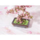 Sakura Bonsai Rompecabezas 3D