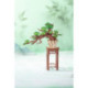 Rolife Evergreen Pine Bonsai Rompecabezas 3D