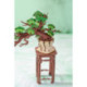 Rolife Evergreen Pine Bonsai Rompecabezas 3D