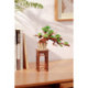 Rolife Evergreen Pine Bonsai Rompecabezas 3D