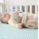 Fisher-Price Nutria Hora de Dormir