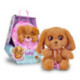 Baby Paws Peluche Cocker