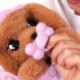 Baby Paws Peluche Cocker