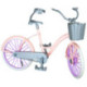 Adabela Pasea en Bici