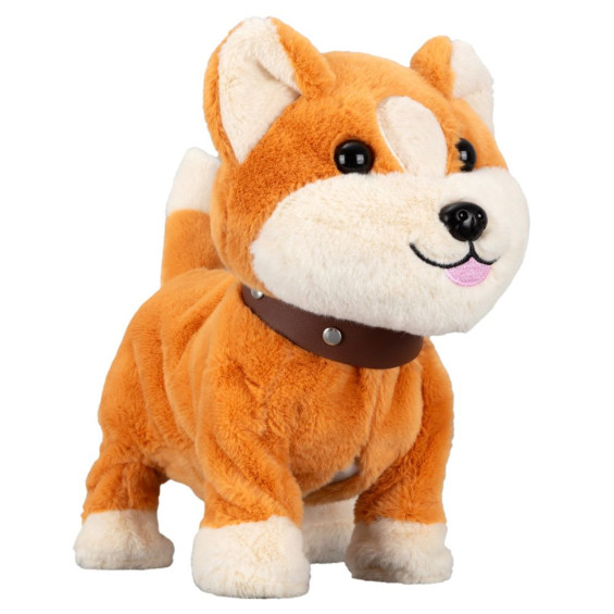 Mascottas Mi Perrito Corgi