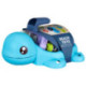 Set de Tortuga para la Playa