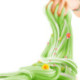 Slime Flower Mini Garden Jardín