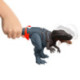 Mattel Jurassic World: El Renacer, Abelisaurus Rugido Salvaje