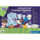 Ciencia y Juego Lab Laboratorio de Cristales Gigantes