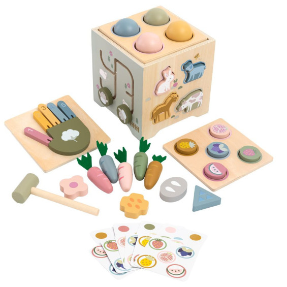 Imaginarium Natural Cubo Actividades