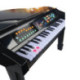 Imaginarium Conservatory Grand Piano