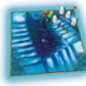 Devir Escalera Encantada Juego de Mesa