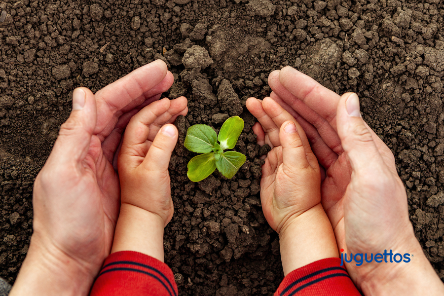 Jardinería divertida: educar en la sostenibilidad