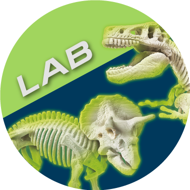 LAB